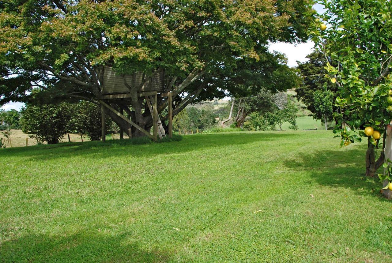 טאורנגה Poripori Homestead מראה חיצוני תמונה